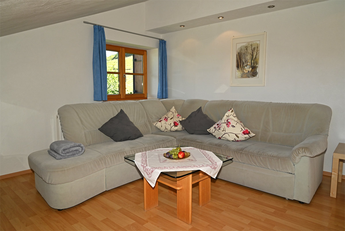 Helles Wohnzimmer mit Panoramablick